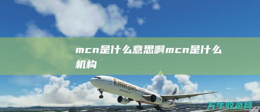 mcn是什么意思啊 (mcn是什么机构)