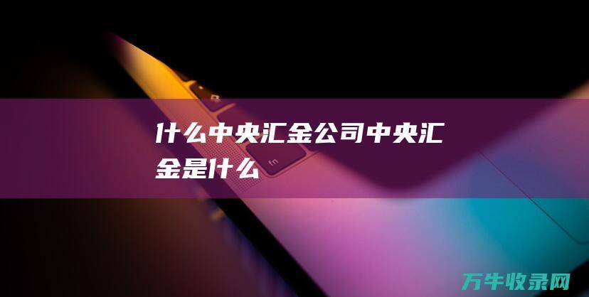 什么中央汇金公司 (中央汇金是什么)