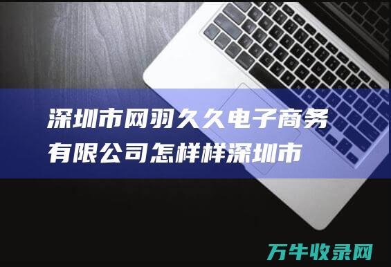 深圳市网羽久久电子商务有限公司怎样样深圳市