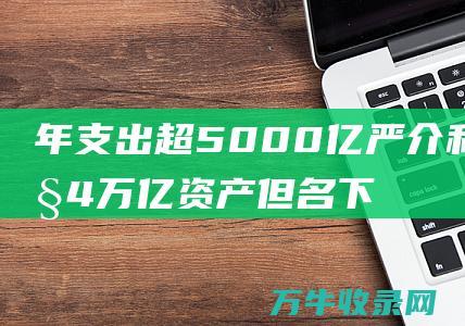 年支出超5000亿严介和掌控4万亿资产但名下