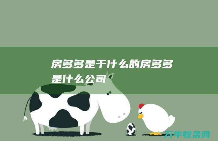 房多多是干什么的 (房多多是什么公司)