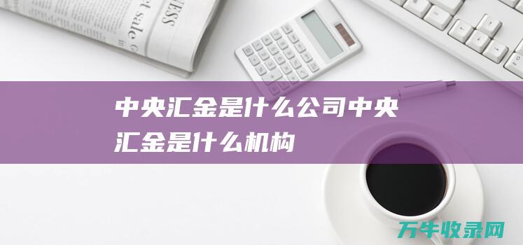 中央汇金是什么公司 (中央汇金是什么机构)