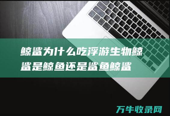 鲸鲨为什么吃浮游生物 鲸鲨是鲸鱼还是鲨鱼 (鲸鲨为什么吃小型动物)