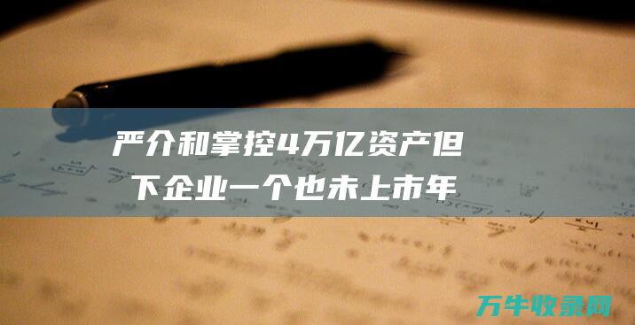 严介和掌控4万亿资产 但名下企业一个也未上市 年支出超5000亿 (严介和厉害吗)