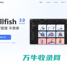 Billfish素材管家