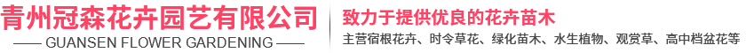 青州冠森花卉园艺有限公司